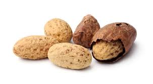 La Noix De Kola Un Stimulant Naturel Pour Une Vie Pleine D Energie Bio A La Une
