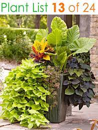 May 20, 2021 · for starters, look at the area you want to plant: 24 Stunning Container Garden Planting Ideas A Piece Of Rainbow