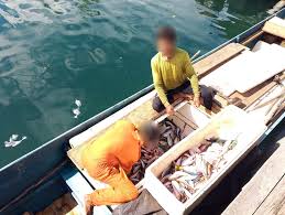 Bom Ikan Hancurkan Terumbu Karang Halmahera