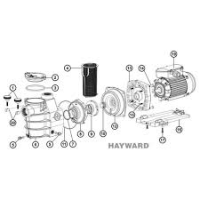 Joint De Couvercle De Pompe Hayward Max Flo Piscine Shop