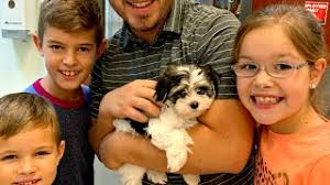 We post family vlogs 5 days a week! Download Puppies In Hd Mp4 3gp Codedfilm
