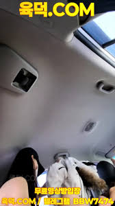 최신작 나이키녀 차안에서 최신영상 한국야동 무료야동 국산야동 무료입장 텔레그램 BBW7474 검색 - EPORNER