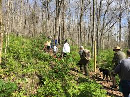 Dogs are welcome in the campsites and in two of the cabins for an additional fee. Preservation Partnership Land Trust To Open New Trails Create More Connectivity City Of Huntsville Blog