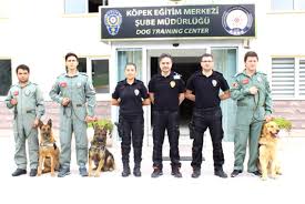3 Havalimani Icin Hassas Burunlar Golbasi Nda Yetisiyor Dailymotion Video