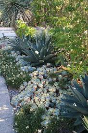 A Brandon Tyson Designed Garden In Berkeley Outdoor Landscape Design Garden Design Low Water Landscaping