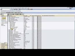 Learn Sap Bw Online Interactively