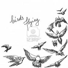 Sketch Birds Flying In The Sky Drawing Stock Vector Bird Pencil Drawing Pencil Drawings Flying Bird Drawing