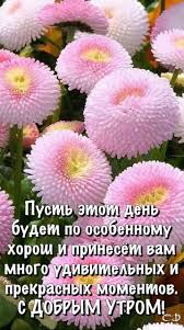 красивые анимационные картинки с добрым утром и хорошего дня Osen Dobroe Utro Kartinki So Slovami I Stihami Krasivye S Dobrym Utrom Horoshego Dnya I Vechera Osennie Otkrytki S Nadpisyami Stihi Proza V 2020 G Dobroe Utro Utrennie Citaty Utrennie Soobsheniya