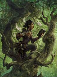 Arcane magic (ios) takes place in the forests of the old world and the chaos wastelands. Nature Magic Arcane Tradition Gm Binder