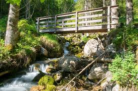 Bergwanderung Durch Den Wald Am Bach Entlang In 2020 Schone Landschaften Feuchtbiotop Blumen Wiese