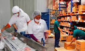 Aplicar prácticas correctas de fabricación. Vacantes Como Operario De Produccion