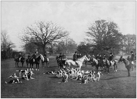 130+ Victorian English Fox Hunters Riding Their Horses 19th Century Stock Illustrations, Royalty-Free Vector Graphics & Clip Art - iStock