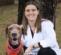 There has been good news and a little bad from my research. So Your Dog Has A Splenic Mass Mspca Angell