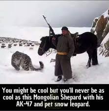You Might Be Cool But You Ll Never Be As Cool As This Mongolian Shepard With His Ak 47 And His Pet Snow Leopard R Brandnewsentence