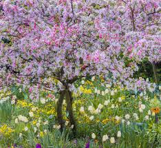 Decouvrez Les 15 Plus Beaux Jardins Du Monde Beautiful Gardens Amazing Gardens Famous Gardens