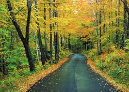 Unemployment drops to lowest percentage in almost four years