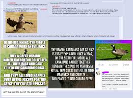 Canadian Geese Origin Greentext Stories Know Your Meme