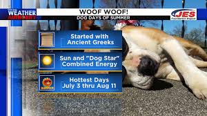 They were historically the period following the heliacal rising of the star system sirius, which hellenistic astrology connected with heat, drought, sudden thunderstorms, lethargy, fever, mad dogs, and bad luck. What Are The Dog Days Of Summer And Why Do We Call Them That