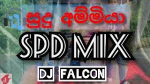 News | live @ o fans festival 2020. Sudu Dj Spd Free Music Download
