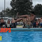 The Z Manu World Champs Whangārei Official Qualifier event image