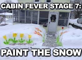 I Could So Do This Winter Humor Snow Humor Cabin Fever