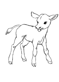 Encourage children to color by providing lots of access to coloring pages and crayons. Cow Coloring Page Cute Baby Calf Animal Drawings Farm Animal Coloring Pages Cow Coloring Pages