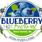 Blueberry Festival