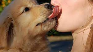 Www.sexo con animales