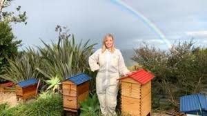 Beginner Beekeeping Course (EUR)