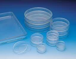 Holen sie sich ein 25.000 zweites chaco culture 35 pan r stockvideo mit 29.97fps. Nunclon Cell Culture Dishes Diam H 35 Mm 10 Mm