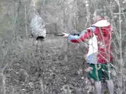 Buy it now +$14.90 shipping. Shotgun Chops Down A Hornet S Nest Youtube