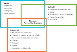 Image result for Cluster B Personality Disorder