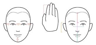 See face parts stock video clips. Human Anatomy Fundamentals Basics Of The Face