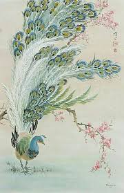 Aliye Akturk Oten Adli Kullanicinin Tavuskusu Panosundaki Pin Japonca Sanat Cizimler Cizim Fikirleri