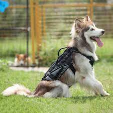 Zjdu dog tactical vest set. Tactical Dog Harness For Large Medium Dogs Military Dog Harness With Handle No Pull Service Dog Vest For Medium And Large Dogs Walmart Com Walmart Com