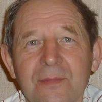 PDF) SISESTI VATRĂ STRĂBUNĂ