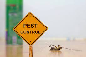 You can do it yourself! 6 Reasons Why You Should Never Do Diy Pest Control