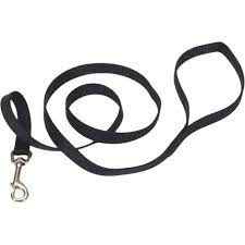 Happy smiling dog character hold leash in mouth. Coastal Pet 6 Ft Single Ply Nylon Dog Leash Collars Leashes Harnesses Household Shop The Exchange