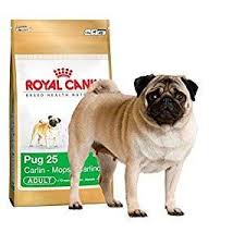 Pin On Dog Supplies