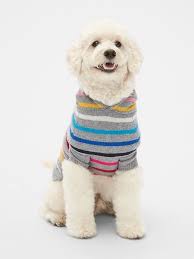 gap womens crazy stripe dog sweater hoodie heather grey