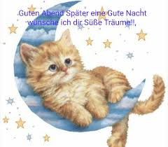 Lustige bilder und spruche kostenlos downloaden lustige spruche. Gute Nacht Bilder Lustig Kostenlos Downloaden Gute Nacht Bilder Kostenlos Runterladen