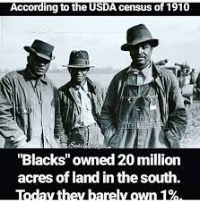 African American Land Taken Stolen Eminent Domain Like Comment Follow Me Beezwel Natural American History Facts Black History Facts Black History Quotes