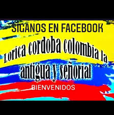 Profile for Manolo Olivares