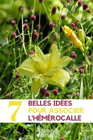 Epingle Sur Idees Jardin Inspiration Et Associations