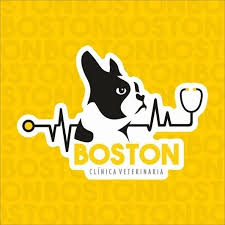 Clínica Veterinaria Boston