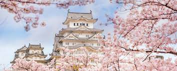 Using these model assets, a night scene was created. Cherry Blossom Festival In Japan When And Where Go