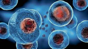 Brainstem gliomas include a collection of clinically and surgically heterogeneous tumors and are most commonly found in children. Stem Cells And Cosmetic Surgery Costhetics