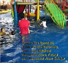 Berwisata air di daerah untung suropati mungkin kolam renang pratama bisa jadi pilihan. Rumah Berbagi Cerita Taman Ria Suropati Tidak Hanya Berenang Tapi Juga Edukasi Mengenal Flora Fauna Dan Mencintai Alam Sekitar