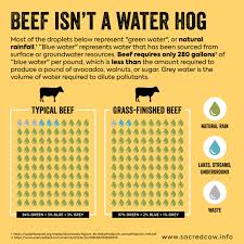 How many pounds of water in 10 us gallons? Beef Is Not A Water Hog 94 Of Water Allocated To Beef Production Is Natural Rainfall Sacred Cow