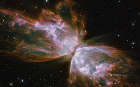We did not find results for: Nebulae Outer Space Stars Supernova Hd Wallpaper Wallpaperbetter